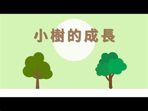 小樹變大樹|幼兒園認識大樹教案